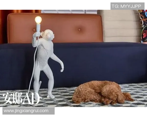 篮球明星同款拖鞋让你在家也能感受赛场风范,舒适时尚兼具的理想选择 篮球明星同款拖鞋让你在家也能感受赛场风范,舒适时尚兼具的理想选择